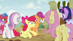 Size: 1920x1080 | Tagged: safe, screencap, apple bloom, biscuit, fluttershy, scootaloo, sweetie belle, twilight sparkle, alicorn, earth pony, pegasus, pony, unicorn, g4, growing up is hard to do, butt, cutie mark crusaders, female, mare, older, plot, saddle bag, twilight sparkle (alicorn)