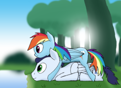 Size: 1486x1080 | Tagged: safe, artist:soks777, rainbow dash, soarin', pony, g4, female, male, ship:soarindash, shipping, straight, tree