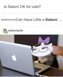 Size: 680x832 | Tagged: safe, opalescence, g4, cats can have little a salami, meme