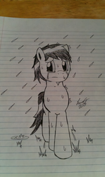 Size: 896x1500 | Tagged: safe, artist:lucas_gaxiola, oc, oc only, oc:charmed clover, earth pony, pony, crying, earth pony oc, irl, lineart, lined paper, male, photo, rain, signature, solo, stallion, traditional art