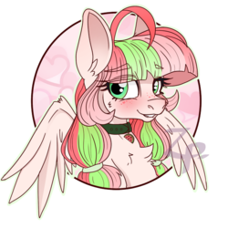 Size: 600x600 | Tagged: safe, artist:appletaffy, oc, oc only, oc:melony surprise, pegasus, pony, blushing, bust, chest fluff, collar, female, freckles, looking at you, mare, portrait, simple background, solo, transparent background