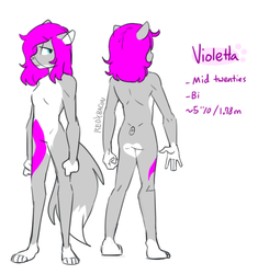 Size: 807x823 | Tagged: safe, artist:redxbacon, oc, oc only, oc:violetta, oc:violetta(sapphie), abyssinian, anthro, plantigrade anthro, abyssinian oc, female, reference sheet, solo
