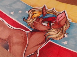 Size: 640x480 | Tagged: safe, artist:silverlove234, oc, oc:nucita, pony, unicorn, venezuela