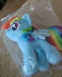 Size: 1080x1338 | Tagged: safe, artist:omegapony16, rainbow dash, pegasus, pony, g4, bag, female, irl, mare, photo, plushie