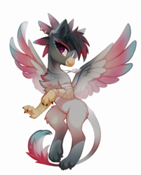 Size: 2499x3110 | Tagged: safe, artist:share dast, oc, oc only, oc:caiya, griffon, bandage, chest fluff, claws, cute, ear piercing, earring, female, full body, griffon oc, high res, jewelry, looking at you, piercing, ponytail, simple background, solo, spread wings, white background, wings