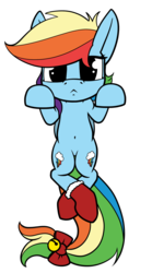 Size: 1250x2250 | Tagged: safe, artist:dacaoo, rainbow dash, pony, g4, bell, bow, clothes, female, looking at you, simple background, socks, solo, tail bow, transparent background