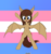 Size: 1280x1372 | Tagged: safe, artist:lunebat, oc, oc only, oc:lunette, bat pony, pony, bat pony oc, bat wings, belly button, bipedal, pride, pride flag, solo, transgender, transgender pride flag, wings