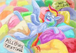 Size: 1063x752 | Tagged: safe, artist:miradge, rainbow dash, pegasus, pony, g4, dialogue, female, mare, pillow, solo