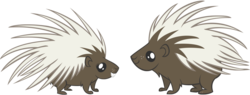 Size: 1280x487 | Tagged: safe, artist:andoanimalia, porcupine, g4, winter wrap up, animal, duo, looking at each other, simple background, transparent background, vector