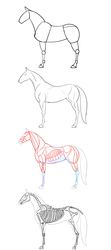 Size: 960x2160 | Tagged: safe, artist:flufflepimp, horse, pony, anatomy, female, learning to draw, mare, realistic, simple background, sketch, sketch dump, white background