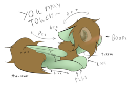 Size: 1804x1196 | Tagged: safe, artist:lofis, oc, oc only, oc:mint chocolate, pegasus, pony, blushing, eye clipping through hair, female, hair over one eye, prone, simple background, solo, touching chart, transparent background