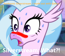 Size: 651x556 | Tagged: safe, artist:gooeybird, edit, edited screencap, screencap, silverstream, hippogriff, g4, student counsel, 1000 hours in ms paint, blushing, blushing profusely, caption, cropped, female, implied gallburst, implied gallstream, implied gallus, implied gay, implied griffon on pony action, implied pony on griffon action, implied shipping, implied sunburst, meme, misspelling, questioning, say what, shocked expression, solo, sweat, sweating profusely