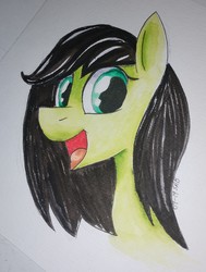 Size: 2017x2664 | Tagged: safe, artist:dreadlime, oc, oc only, oc:filly anon, earth pony, pony, female, filly, high res, solo, traditional art, watercolor painting