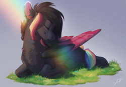 Size: 2300x1600 | Tagged: safe, artist:silentwulv, oc, oc only, oc:ayaka, pegasus, pony, alternate design, chest fluff, colored wings, ear fluff, eyes closed, female, mare, multicolored hair, multicolored wings, ponified, prone, rainbow tail, solo, species swap, wings