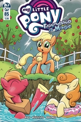 Size: 2063x3131 | Tagged: safe, idw, applejack, big macintosh, carrot top, golden harvest, earth pony, pony, g4, spoiler:comic, spoiler:comic85, apple, apple tree, cloud, cover, fear, food, high res, hydrophobia, inner tube, lightning, teenage applejack, teenage big macintosh, teenager, tree, water