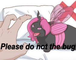 Size: 1241x988 | Tagged: safe, artist:sugar morning, oc, oc only, oc:elytra, cat, changeling, pony, meme, pink changeling, please do not the cat, ponified, solo