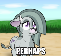Size: 700x640 | Tagged: safe, artist:glimglam, marble pie, cow, g4, barnyard, caption, cowified, female, hair over one eye, horns, image macro, meme, mooble pie, perhaps, ponified meme, solo, species swap, text, udder