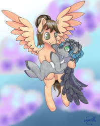 Size: 2619x3299 | Tagged: safe, artist:lechu-zaz, oc, pegasus, pony, commission, flying, high res, looking at each other