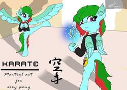 Size: 843x596 | Tagged: safe, artist:irshadhazmi, oc, oc only, oc:precised note, pegasus, pony, advertisement, bowtie, clothes, cutie mark, gem, japanese, karate, kicking, request, room, shadow, spread wings, standing, symbol, training, tuxedo, watermark, wings