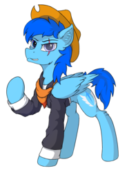 Size: 1822x2480 | Tagged: safe, artist:kargle, oc, oc only, oc:kargle magnus, pegasus, pony, 2020 community collab, derpibooru community collaboration, clothes, cowboy hat, eye scar, hat, looking at you, male, scar, simple background, solo, transparent background