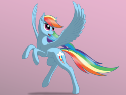 Size: 2000x1500 | Tagged: safe, artist:nebulastar985, rainbow dash, pegasus, pony, g4, female, looking back, mare, rearing, simple background, solo, spread wings, wings