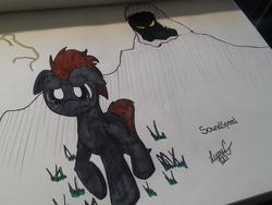 Size: 3264x2448 | Tagged: safe, artist:lucas_gaxiola, oc, oc only, oc:soundspeed, earth pony, pony, shadow pony, earth pony oc, frown, glowing eyes, grass, high res, irl, male, photo, signature, stallion, traditional art