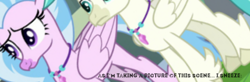 Size: 429x140 | Tagged: source needed, useless source url, safe, edit, edited screencap, screencap, silverstream, terramar, hippogriff, g4, student counsel, angle, camera shot, caption, cropped, meme, sneezing