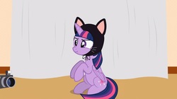 Size: 1678x942 | Tagged: safe, artist:forgalorga, twilight sparkle, alicorn, pony, your little cat 3, g4, behaving like a cat, camera, cat hat, clothes, cosplay, costume, cute, female, hat, solo, twiabetes, twilight sparkle (alicorn)