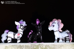 Size: 1600x1067 | Tagged: safe, earth pony, pony, bdsm, inflatable, inflatable toy, photo, punk, shiny