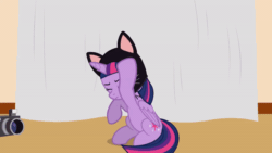 Size: 800x450 | Tagged: safe, artist:forgalorga, twilight sparkle, alicorn, pony, your little cat 3, g4, animated, annoyed, behaving like a cat, camera, cat ears, clothes, costume, cutie mark, fan animation, female, gif, pouting, solo, twilight sparkle (alicorn), twilight sparkle is not amused, unamused, wings