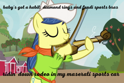 Size: 908x605 | Tagged: safe, edit, edited screencap, screencap, fiddlesticks, pony, apple family reunion, g4, season 3, apple family member, cowboy hat, cowgirl, female, hat, lil nas x, lyrics, musical instrument, old town road, playing, playing instrument, raise this barn, solo, song reference, text, violin, youtube, youtube link