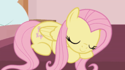 Size: 800x450 | Tagged: safe, artist:forgalorga, applejack, fluttershy, earth pony, pegasus, pony, your little cat 3, g4, animated, annoyed, applecat, bed, behaving like a cat, curtains, cute, ear flick, eyes closed, female, fluttercat, fluttershy is not amused, gif, jackabetes, licking, pat, shyabetes, sleeping, tongue out, unamused, weapons-grade cute, window, wings