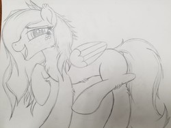 Size: 2016x1512 | Tagged: safe, artist:straighttothepointstudio, oc, oc only, pegasus, pony, black and white, cute, fluffy, grayscale, happy, long hair, long mane, long tail, monochrome, pegasus oc, solo, traditional art