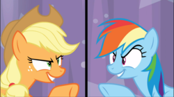 Size: 1672x938 | Tagged: safe, screencap, applejack, rainbow dash, earth pony, pegasus, pony, a trivial pursuit, g4, applejack's hat, confident, cowboy hat, cropped, duo, female, freckles, grin, hat, mare, pointing, ponytail, raised hoof, rivalry, smiling, stetson, trivia trot
