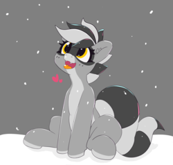 Size: 3467x3301 | Tagged: safe, artist:pabbley, oc, oc only, oc:bandy cyoot, hybrid, pony, raccoon, raccoon pony, happy, heart, high res, open mouth, pale belly, sitting, snow, snowfall, solo, tongue out, winter