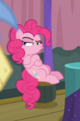 Size: 232x349 | Tagged: safe, screencap, goldengrape, pinkie pie, sir colton vines iii, earth pony, pony, a trivial pursuit, g4, cropped, crossed hooves, cute, cutie mark, displeased, faic, female, leaning back, mare, narrowed eyes, offscreen character, pinkie pie is not amused, pouting, raised eyebrow, sitting, solo focus, trivia trot, unamused