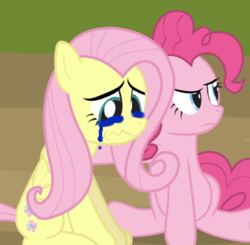 Size: 422x413 | Tagged: safe, artist:dm29, edit, editor:gooeybird, fluttershy, pinkie pie, earth pony, pegasus, pony, g4, angry, cropped, crying, feeling down, injured, sitting, upset, wavy mouth