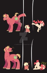 Size: 1920x2968 | Tagged: safe, artist:camsdart, big macintosh, oc, earth pony, pegasus, pony, g4, apple, applebucking, beard, black background, blank flank, circling stars, colt, comic, cutie mark, deviantart watermark, dizzy, exclamation point, facial hair, father and child, female, filly, food, freckles, interrobang, male, missing accessory, obtrusive watermark, offspring, parent:big macintosh, parent:fluttershy, parents:fluttermac, question mark, simple background, stallion, unshorn fetlocks, watermark
