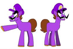 Size: 1024x683 | Tagged: safe, artist:cailauniverse, earth pony, pony, male, ponified, solo, super mario bros., waluigi, waluigi's hat