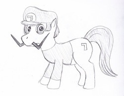 Size: 876x681 | Tagged: safe, artist:plufim, pony, male, ponified, solo, super mario bros., traditional art, waluigi, waluigi's hat