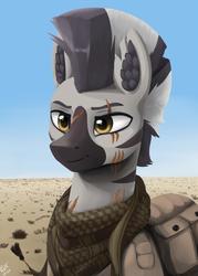 Size: 822x1147 | Tagged: safe, artist:printik, oc, oc:ahrim, zebra, equestria at war mod, clothes, desert, ear fluff, scar, scarf