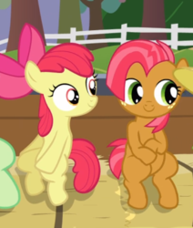 Size: 530x626 | Tagged: safe, screencap, apple bloom, babs seed, earth pony, pony, apple family reunion, g4, season 3, adorababs, adorabloom, bow, cousins, cropped, cute, duo, female, filly, hair bow, hay bale, sitting, smiling