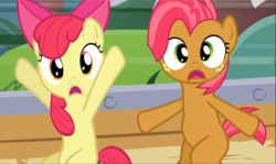 Size: 1576x939 | Tagged: safe, screencap, apple bloom, babs seed, earth pony, pony, apple family reunion, g4, season 3, bow, cousins, cropped, duo, female, filly, hair bow, hooves in air, open mouth, shocked, sitting, wide eyes