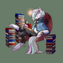 Size: 3000x3000 | Tagged: safe, artist:sourcherry, oc, oc only, unnamed oc, pony, unicorn, armor, book, clothes, glasses, glowing horn, high res, horn, scholar, solo