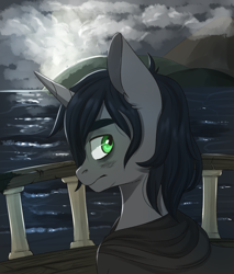 Size: 1700x2000 | Tagged: safe, artist:silbersternenlicht, oc, oc only, oc:shadow, pony, fanfic:a growing shadow, boat, fanfic, fanfic art, fanfic cover, male, ocean, solo, stallion