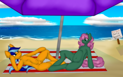 Size: 2368x1489 | Tagged: safe, alternate version, artist:deusexkittycoon, oc, oc:hailfire, oc:petal eclipse, pegasus, anthro, beach, petailfire