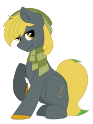 Size: 750x997 | Tagged: safe, artist:juul, oc, oc only, oc:jon, earth pony, pony, 2020 community collab, derpibooru community collaboration, beanie, clothes, hat, looking at you, male, scarf, solo, transparent background