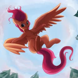 Size: 4000x4000 | Tagged: safe, artist:miokomata, fluttershy, pegasus, semi-anthro, g4, arm hooves, female, flying, freckles, looking at you, mare, not scootaloo, sexy, solo, underhoof