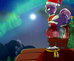Size: 3000x2513 | Tagged: safe, artist:flash_draw, oc, oc only, earth pony, pony, aurora borealis, butt, chimney, chimney dust, chocolate, christmas, christmas lights, christmas star, christmas tree, christmas wreath, clothes, coal, commission, complex background, detailed, dock, featureless crotch, food, high res, holiday, holly, hot chocolate, house, male, moon, mountain, plot, roof, scarf, socks, solo, tail, thigh highs, thighs, tree, wreath