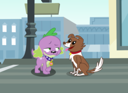 Size: 1024x746 | Tagged: artist needed, safe, edit, edited screencap, screencap, spike, winona, dog, equestria girls, g4, collar, duo, female, male, ship:spinona, shipping, smug, spike the dog, spiked collar, straight, tongue out